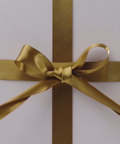 Holiday 2025 Video