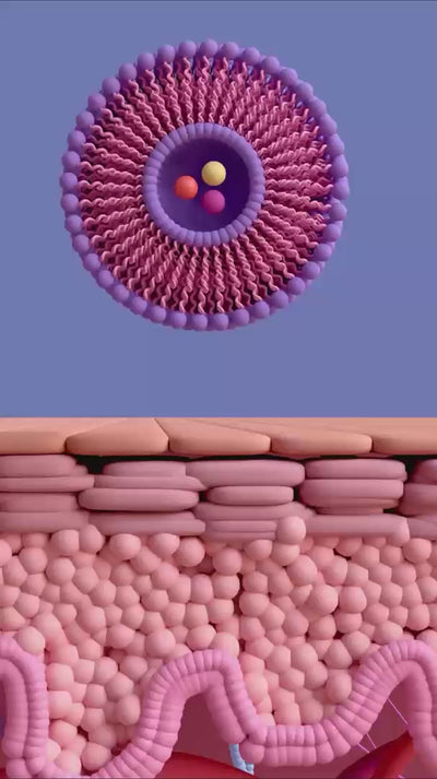 Volulift technology skincare video about ingredients
